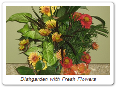 Dishgarden with Fresh Flowers