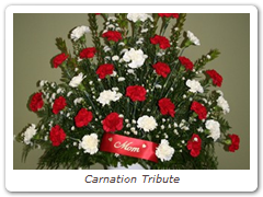 Carnation Tribute