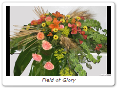 Field of Glory