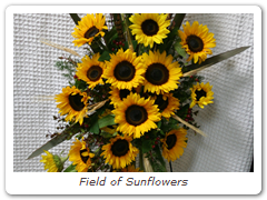 Field of Sunflowers