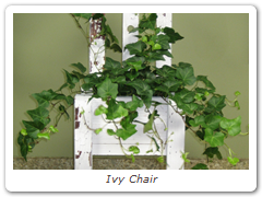 Ivy Chair