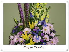 Purple Passion