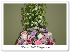 Stand Tall Elegance