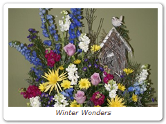 Winter Wonders